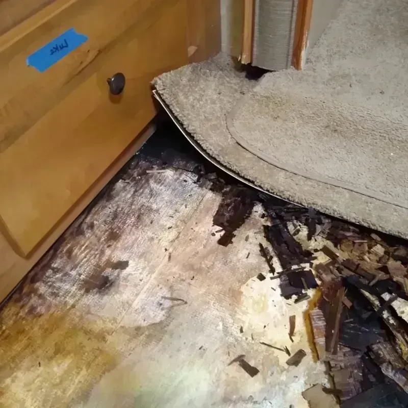 Wood Floor Water Damage in Sewaren, NJ